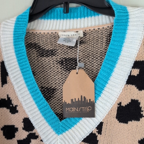 Main Strip V-Neck Sweater with Leopard Pattern - Blue, Black, Tan - Picture 1 of 5